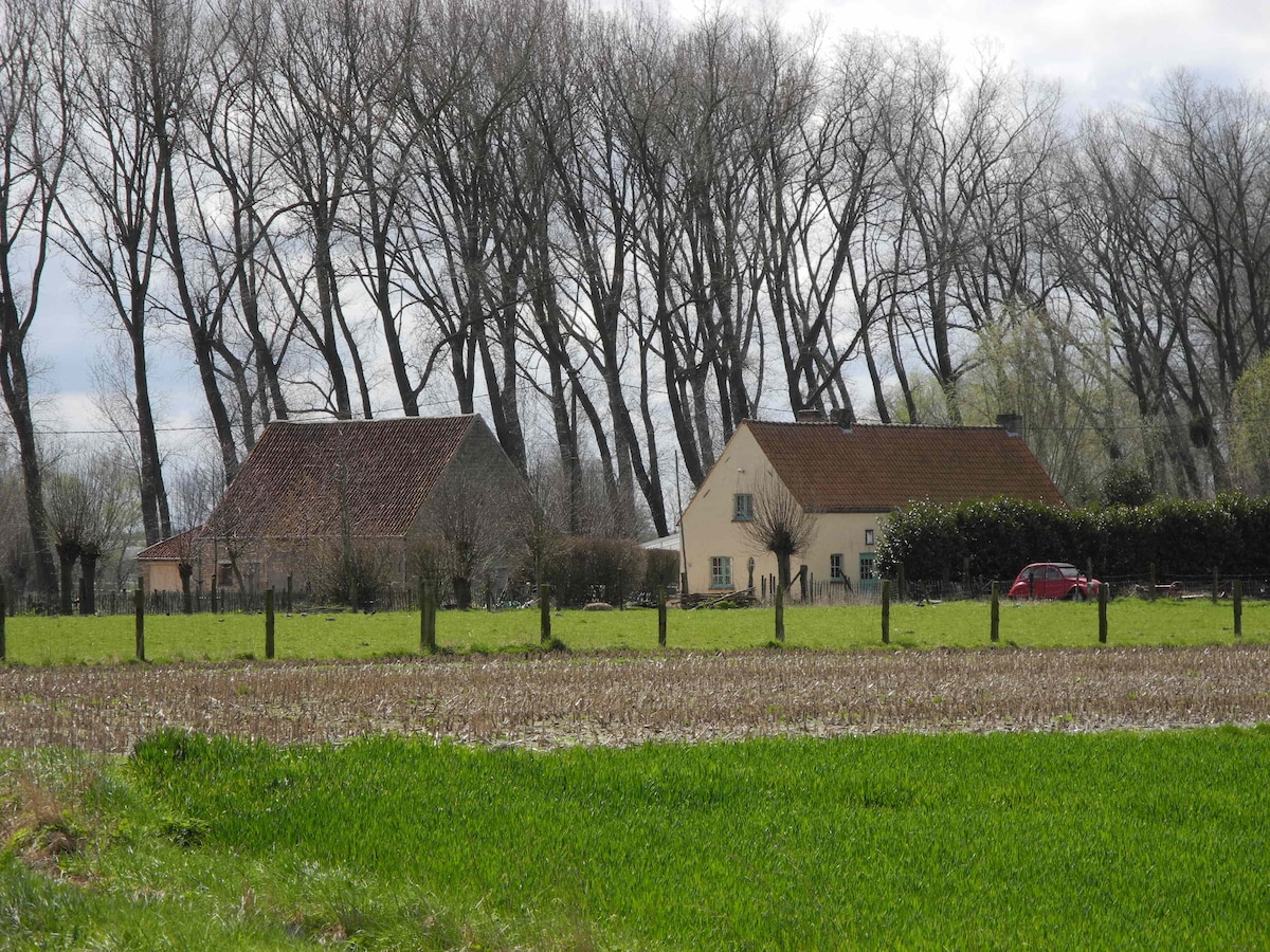 Rustig gelegen Guesthouse in de Damse Polder