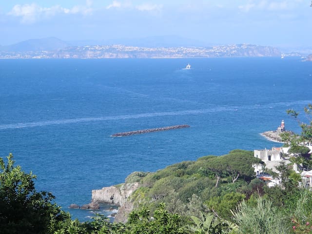 伊斯基亚（Ischia）的民宿