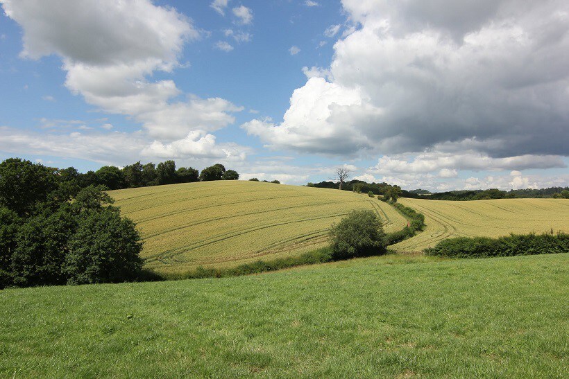 Old Hendre Farm - 'The Coop'