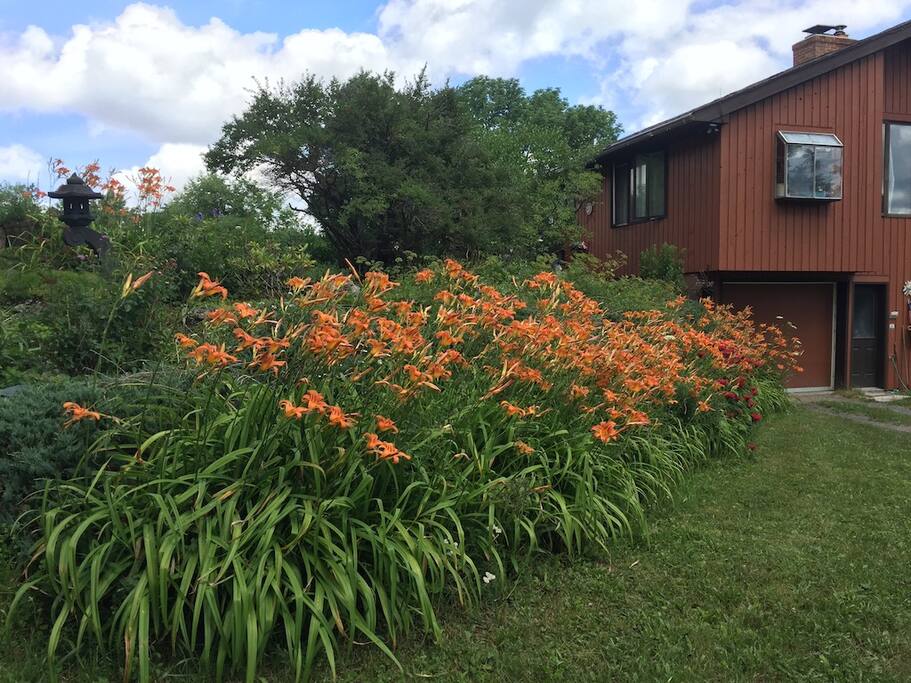 beautiful country paradise - chittenango falls