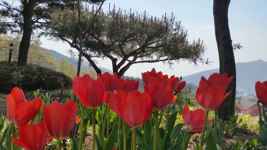 Okcheon-myeon, Yangpyeong-gun的民宿