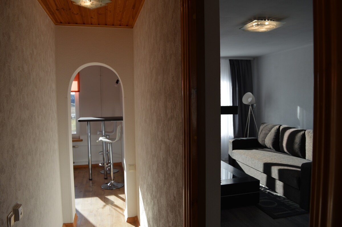 Top equipped apartment in Baldone,  30km from Riga