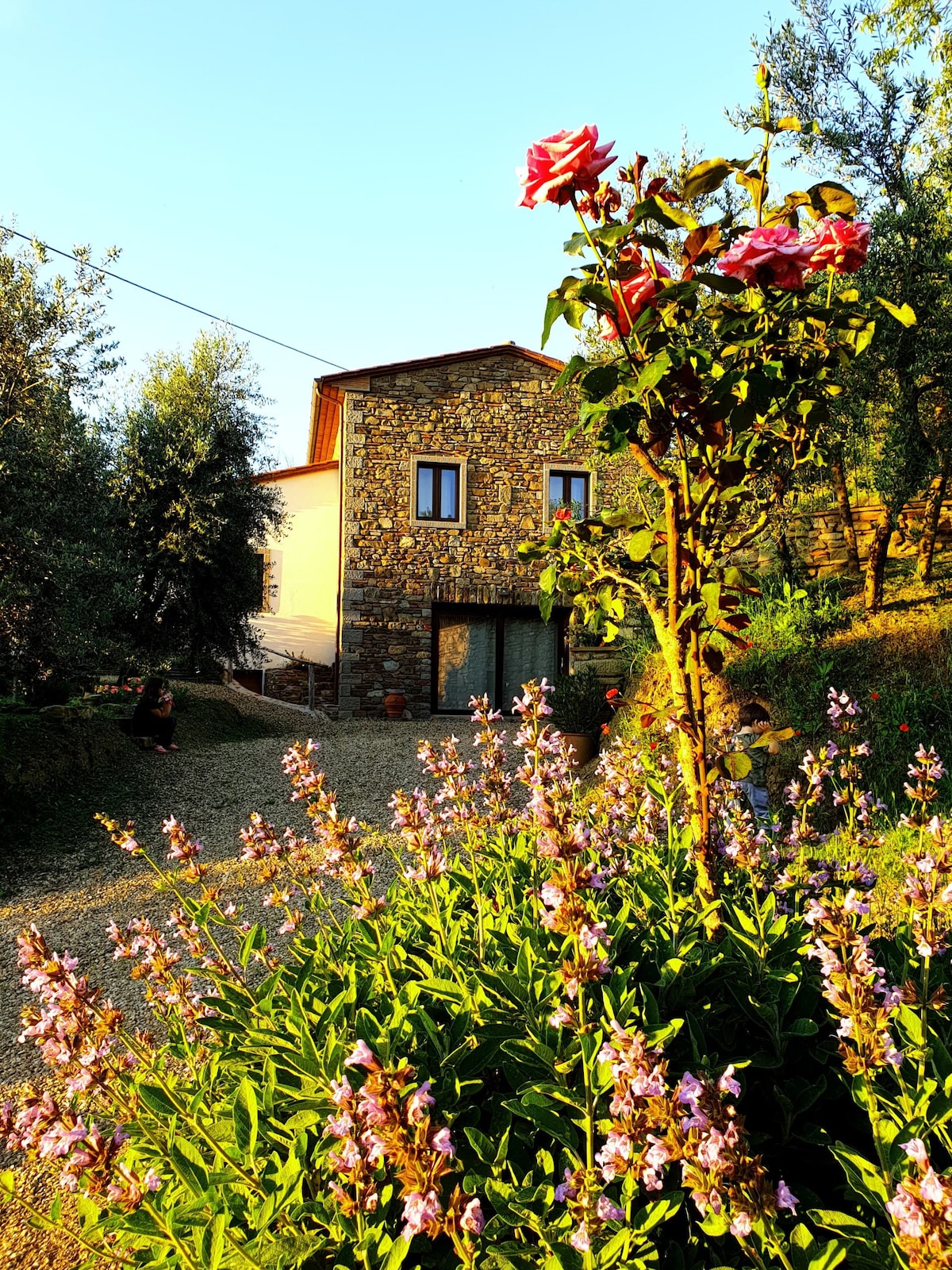 橄榄园（ Garden of Olives ）距离科尔托纳（ Cortona ）仅15分钟
