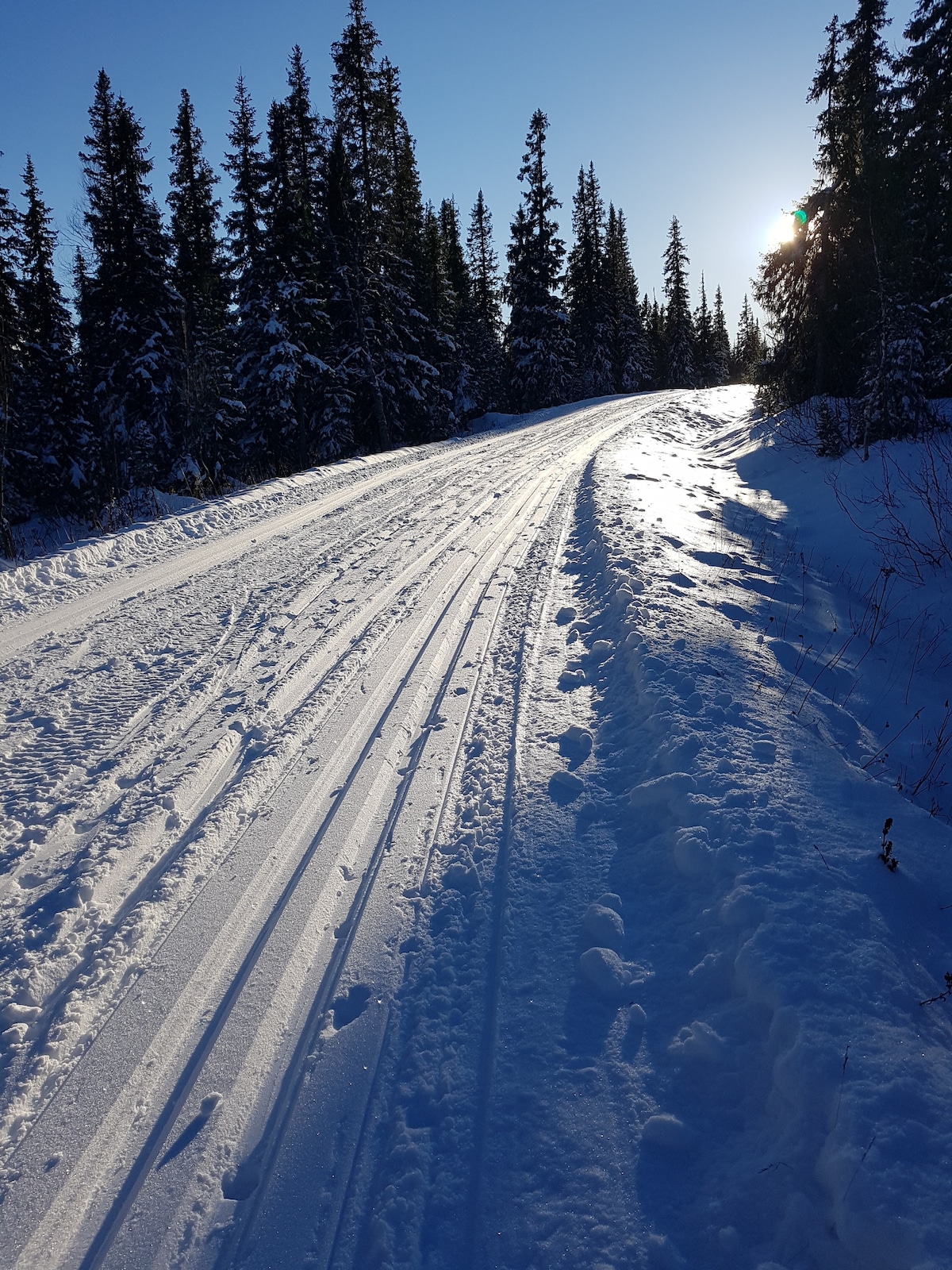 Fjällstuga 17 in Saxnäs, Marsfjäll