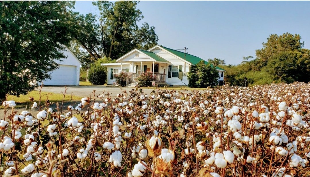 The Cotton Pickin 'Little Farmhouse
