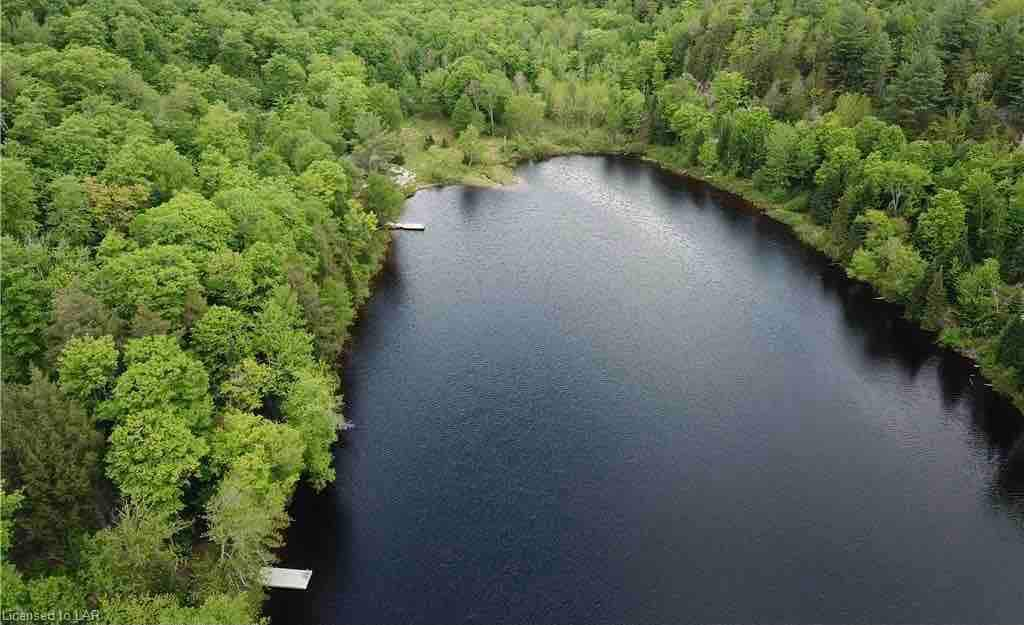 Muskoka湖畔度假胜地5间卧室