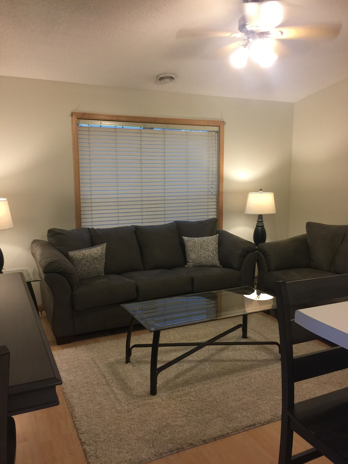 Chaska Executive Condo