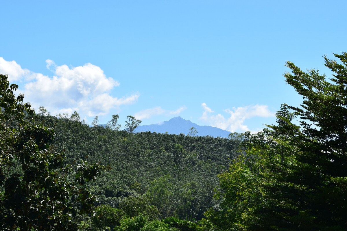 鳄梨树、客用套房、山景和水景。