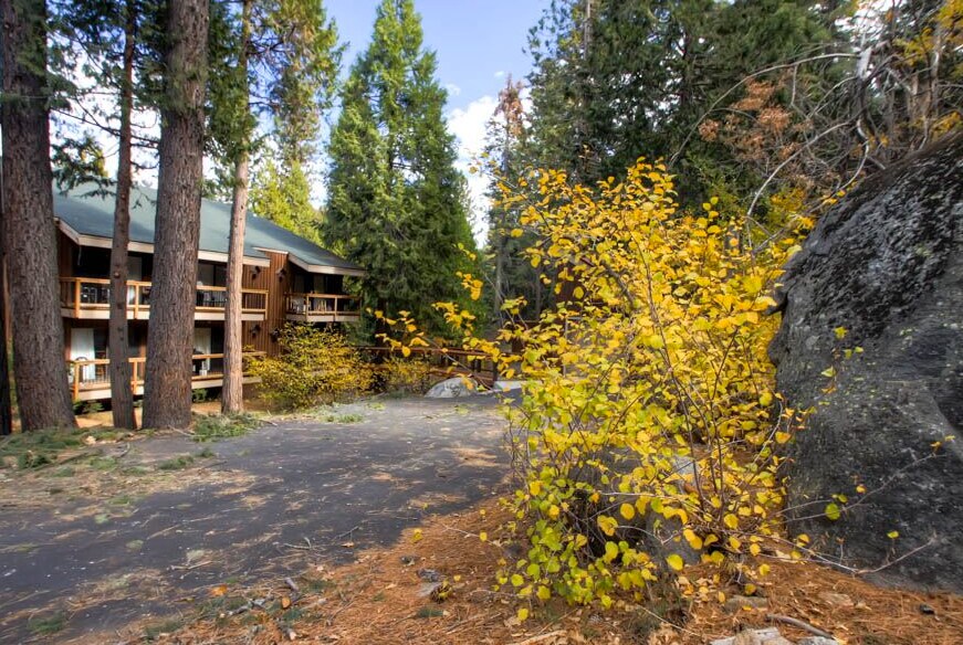 Yosemite West Small Loft Condo A207