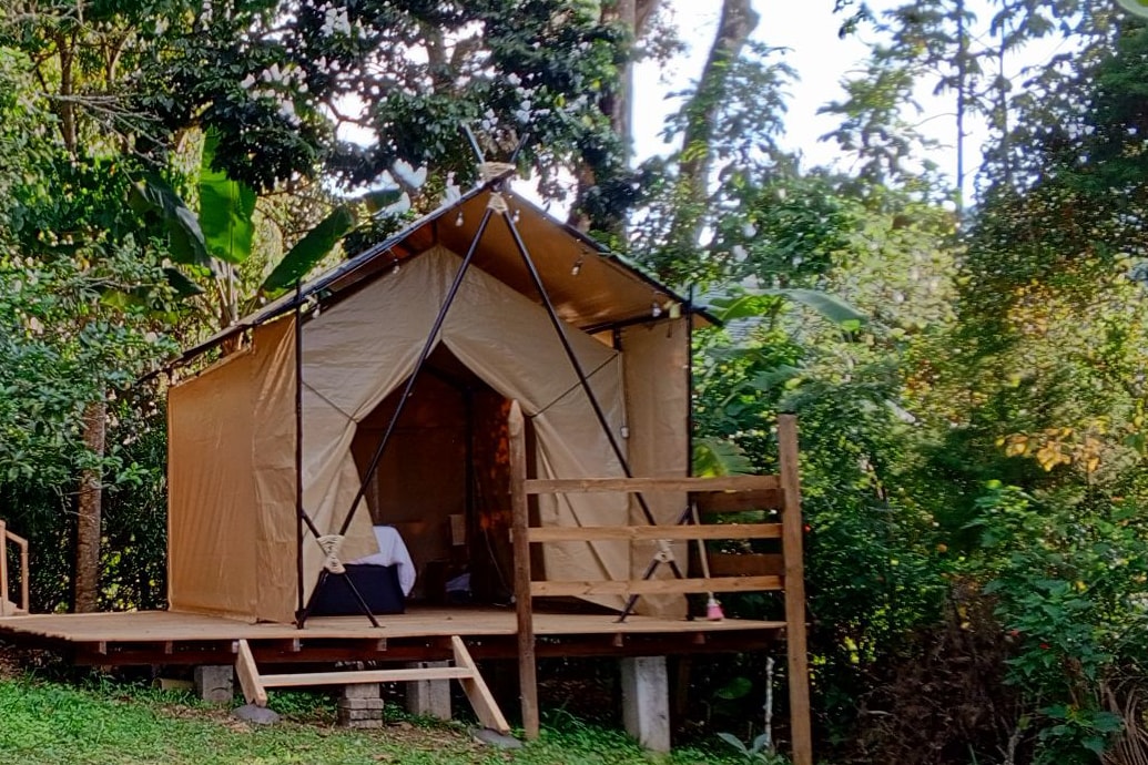 Colibrí, tienda de campaña junto al bosque