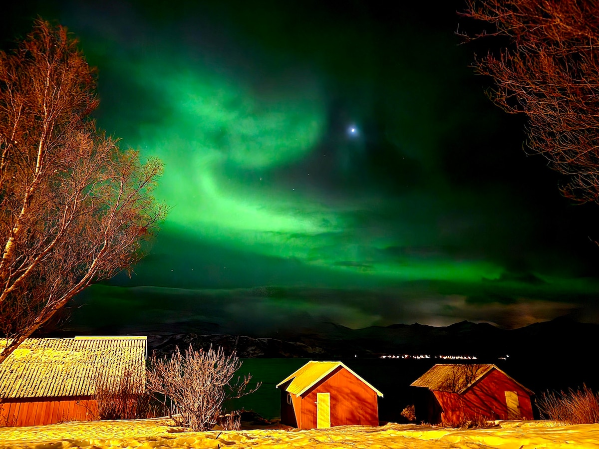 Sjøtun Senja
House ，俯瞰Bergsfjord