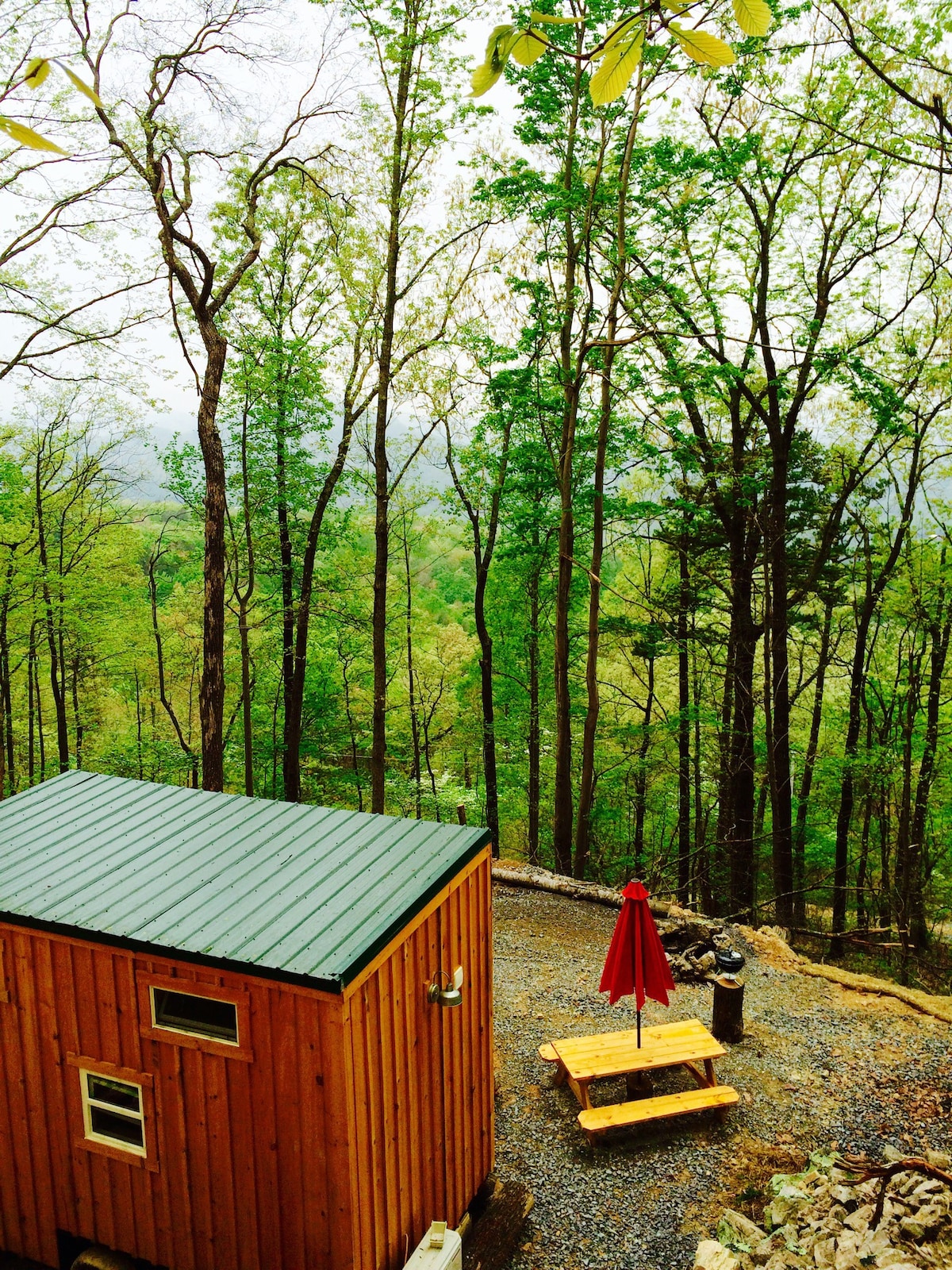 Shiners Shack Tiny Cabin