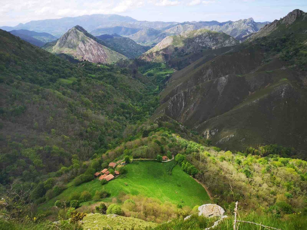 野生山区度假之旅