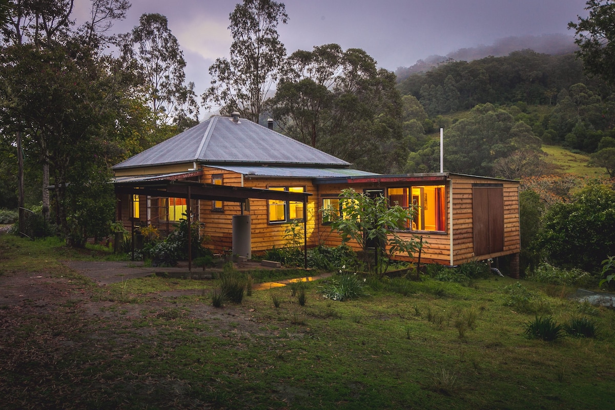 黄房子-基拉尼自然保护区（ Killarney Nature Reserve ） ， Dungog