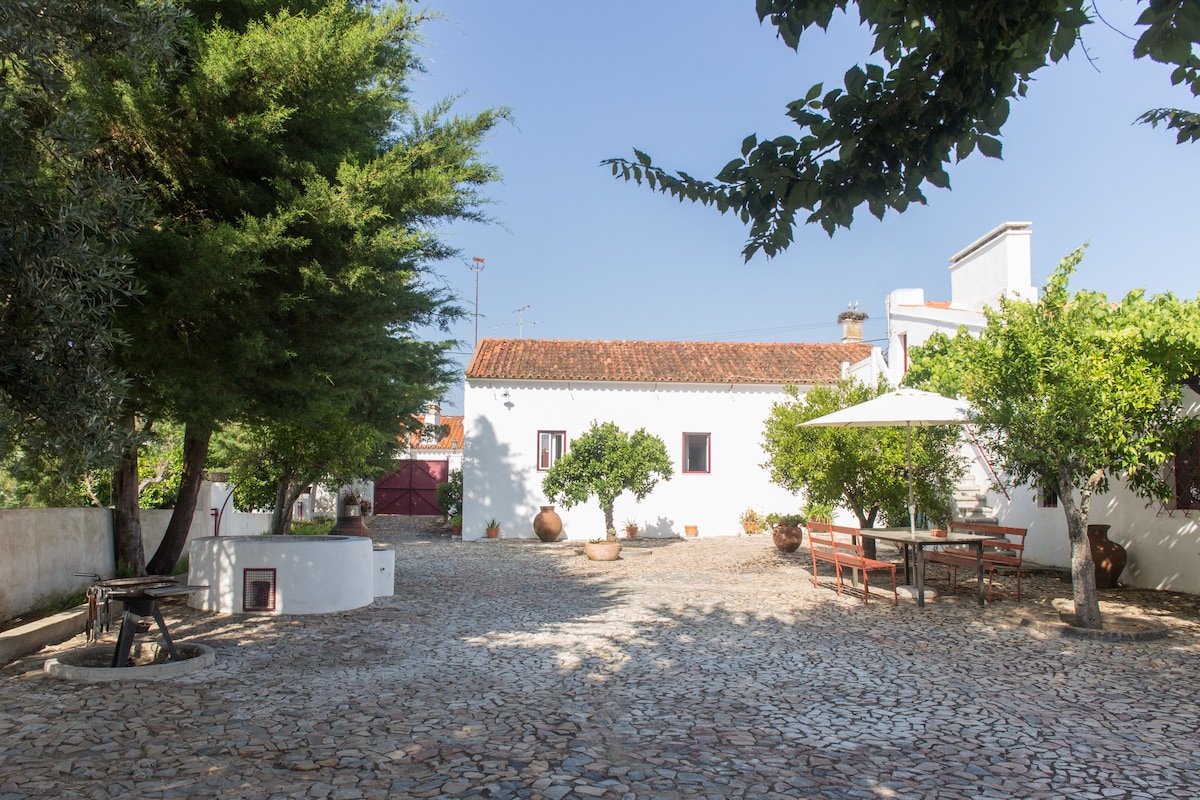 阿连特茹（ Alentejo ）的乡村度假胜地，最多可容纳4位房客