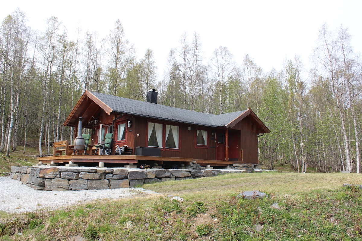 Myrkdalen小屋（ Voss/Nærøyfjord/Flåm地区）