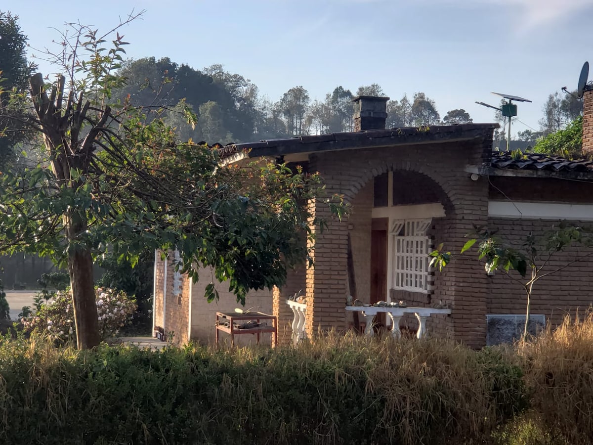 西科特佩克咖啡体验-探险家小屋