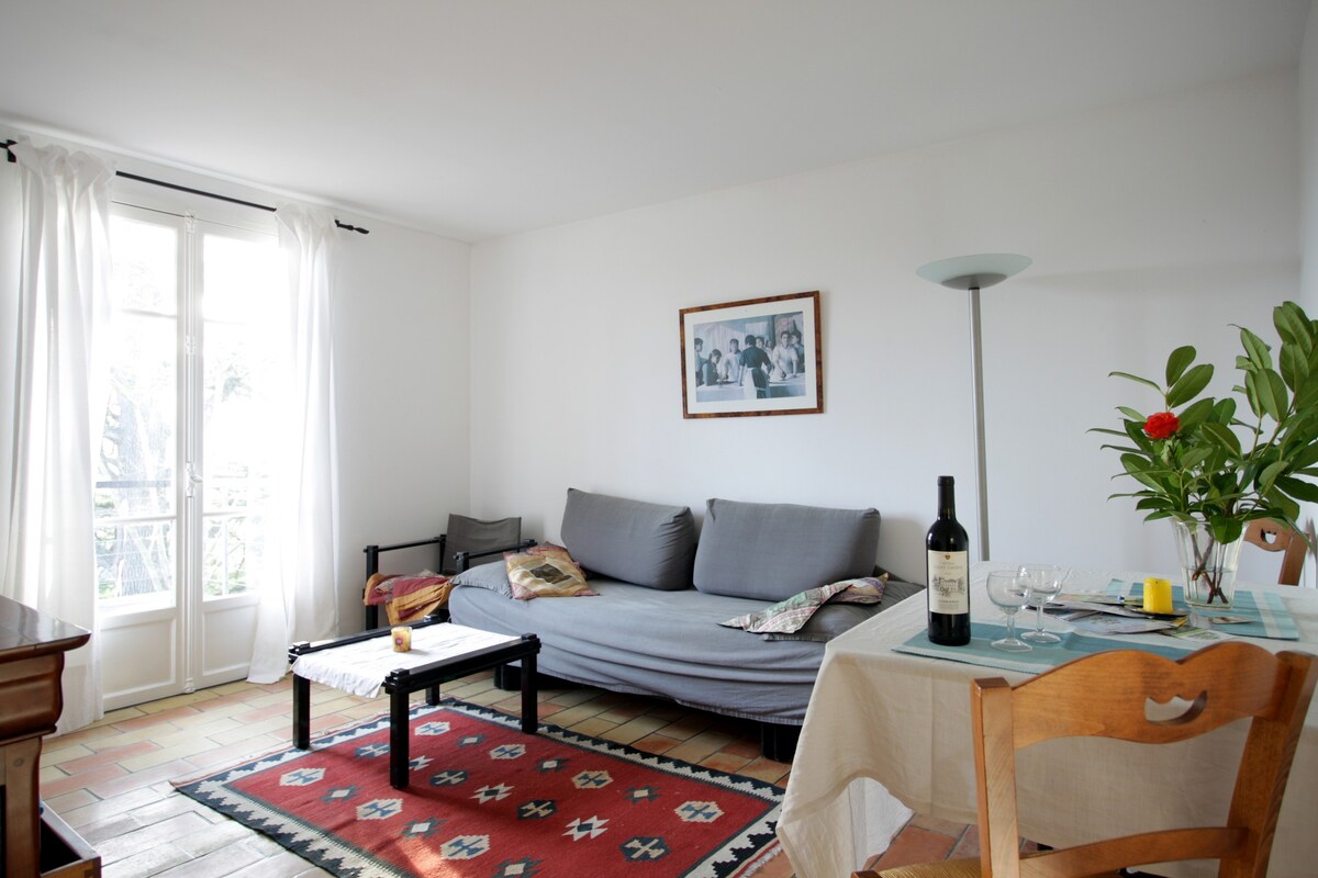Apartment 1 bedroom - view Pyrenees in Domain