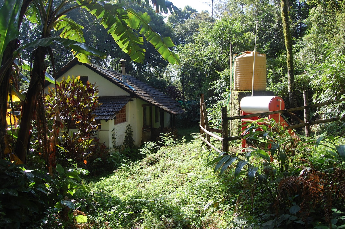 雨林度假屋整套种植园小屋