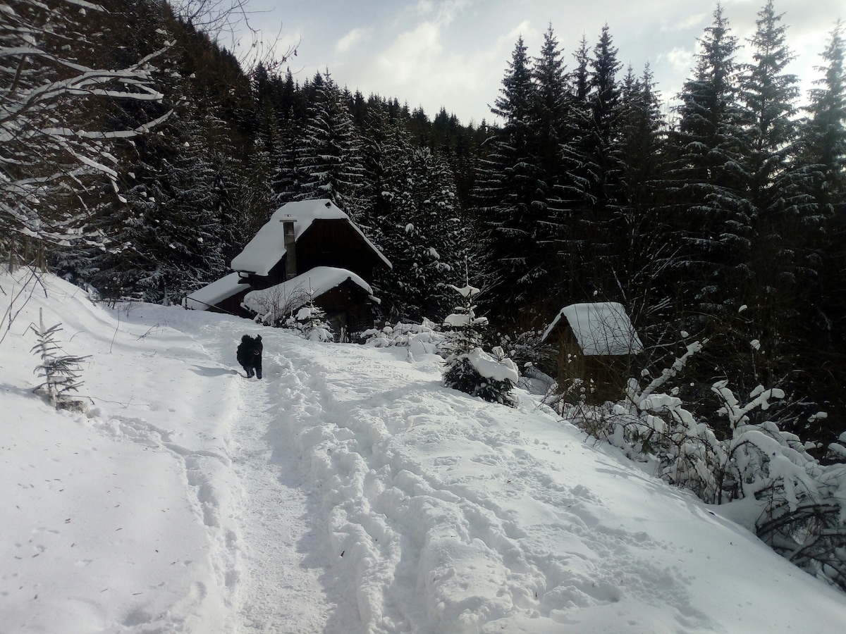 Hexenhütte Stolzalpe