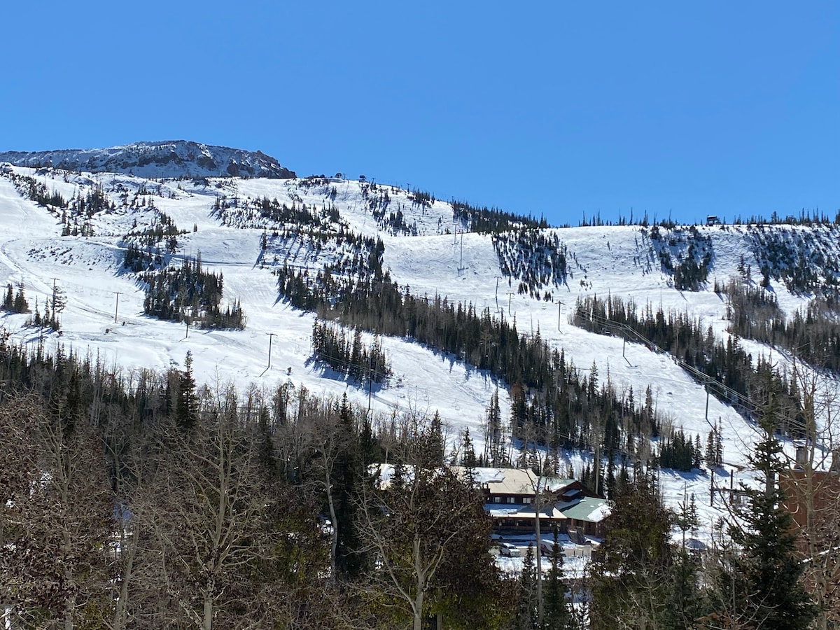 现代公寓，可俯瞰Brian Head滑雪度假村