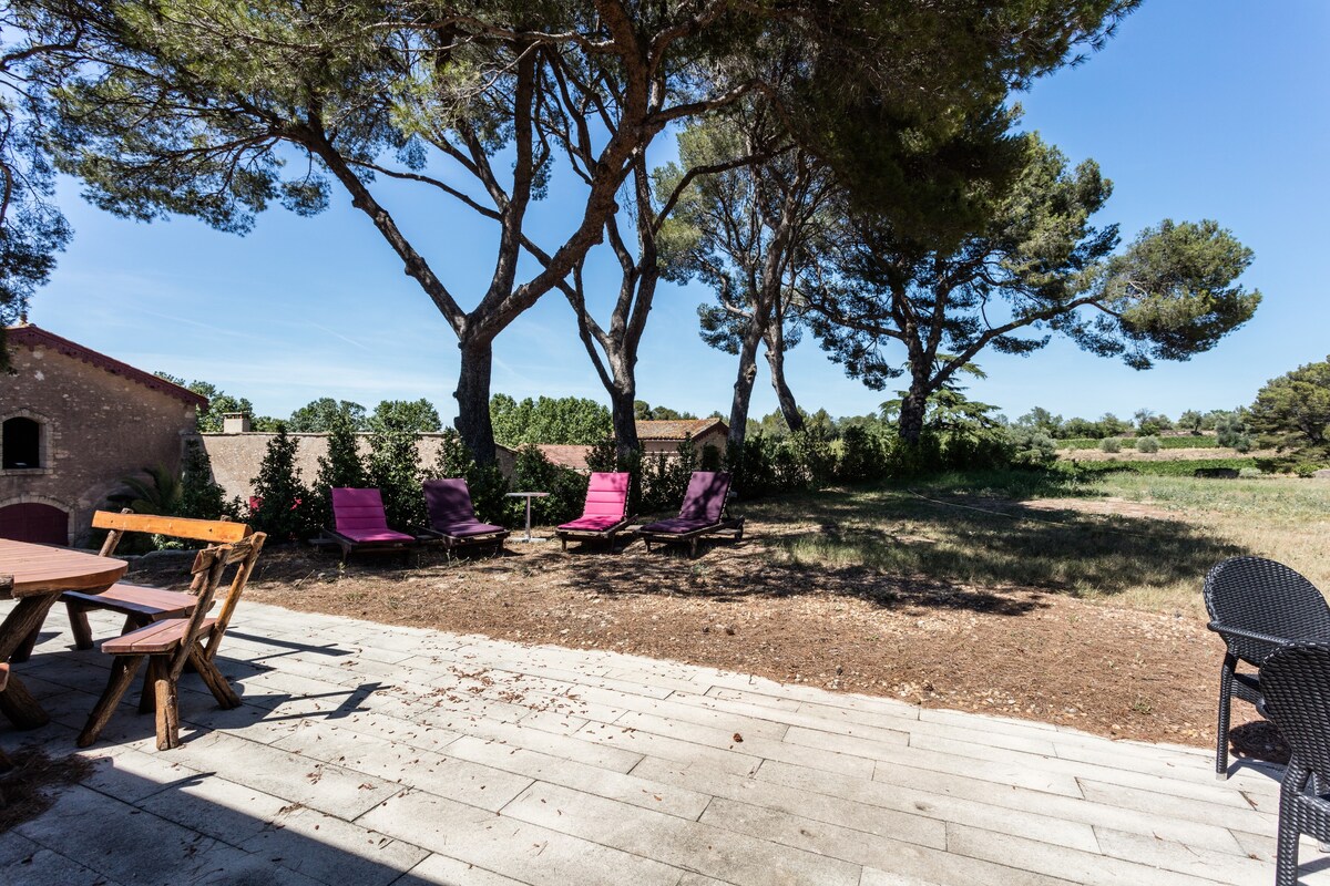 La Petite Maison au coeur des vignes