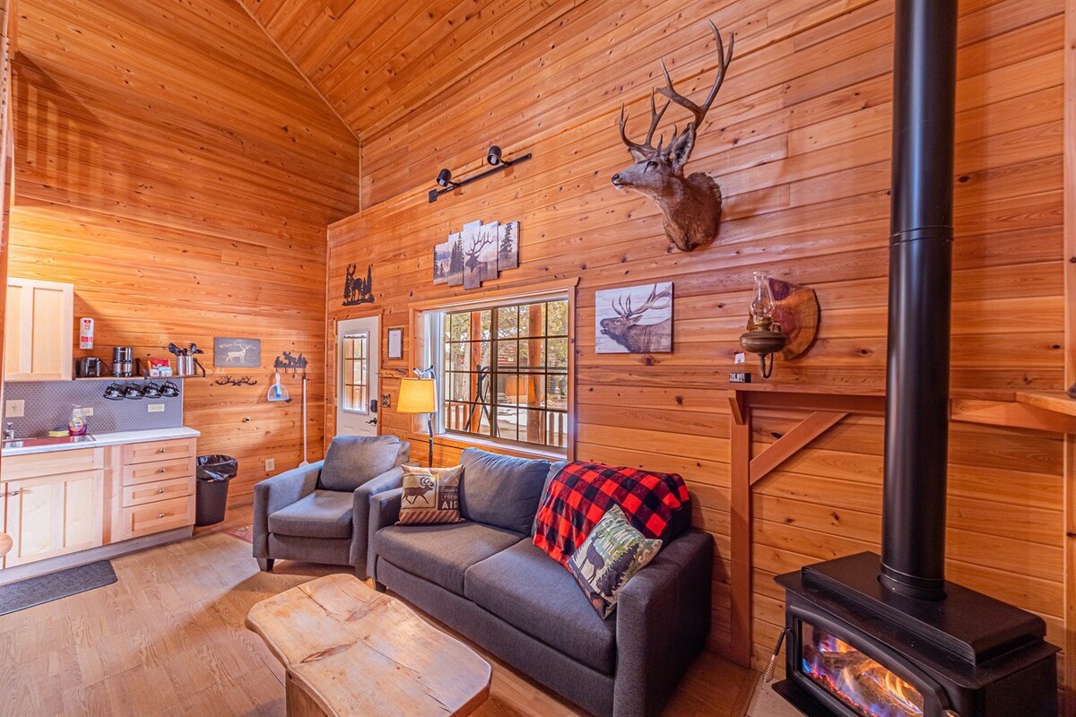 Elk Hollow Cabin with CHARM Backs National Forest,