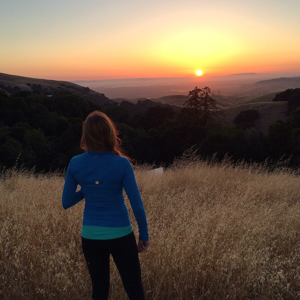 Mission Peak Ranch ：农家乐