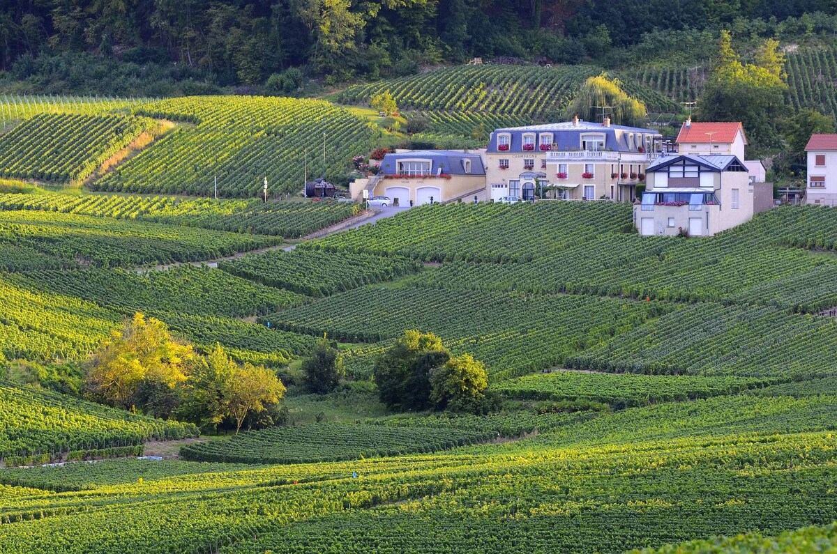 B&B Champagne "Clos du Mardu"