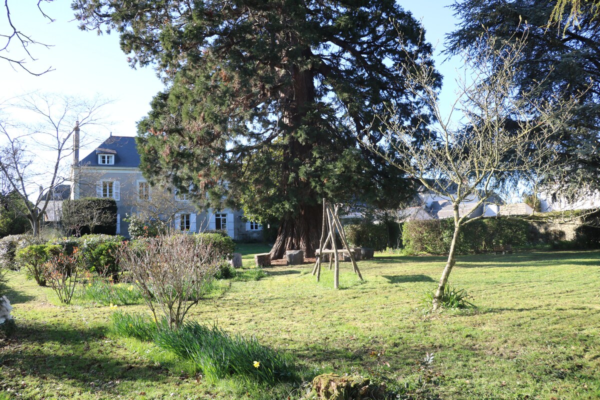 Maison avec grand jardin en plein coeur du village