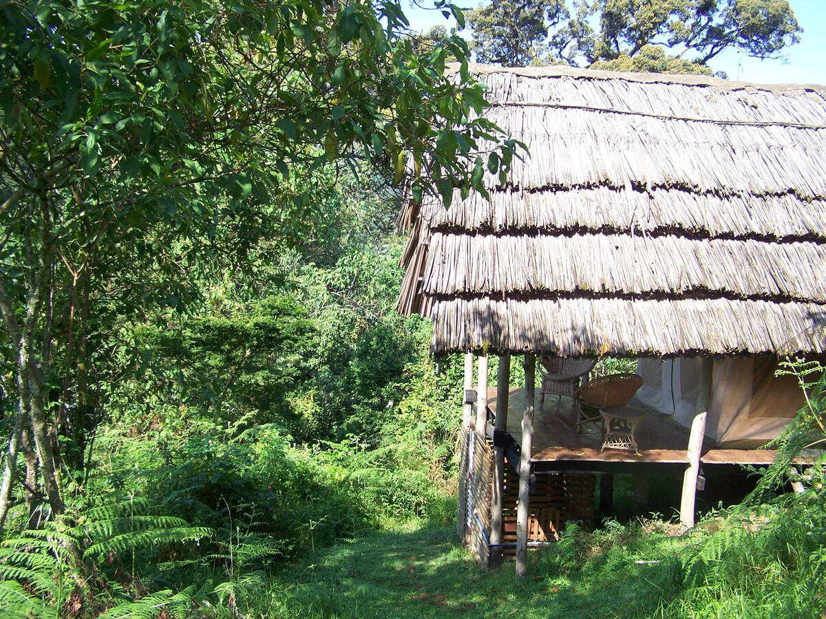 乌干达Cuckooland帐篷小屋