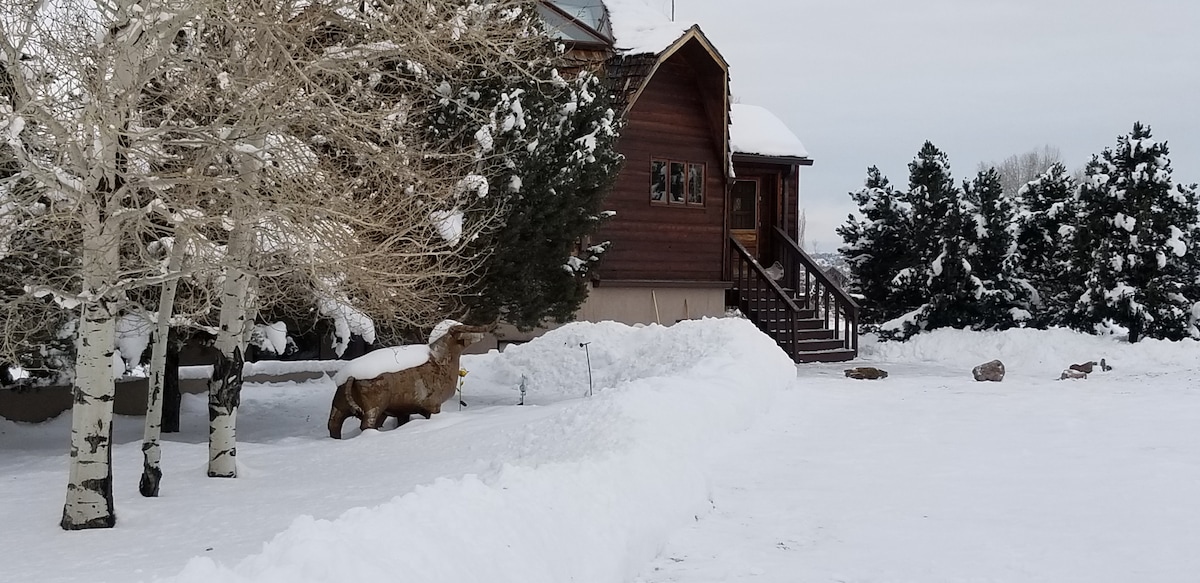 Kurt 's Taos Mountain Dome