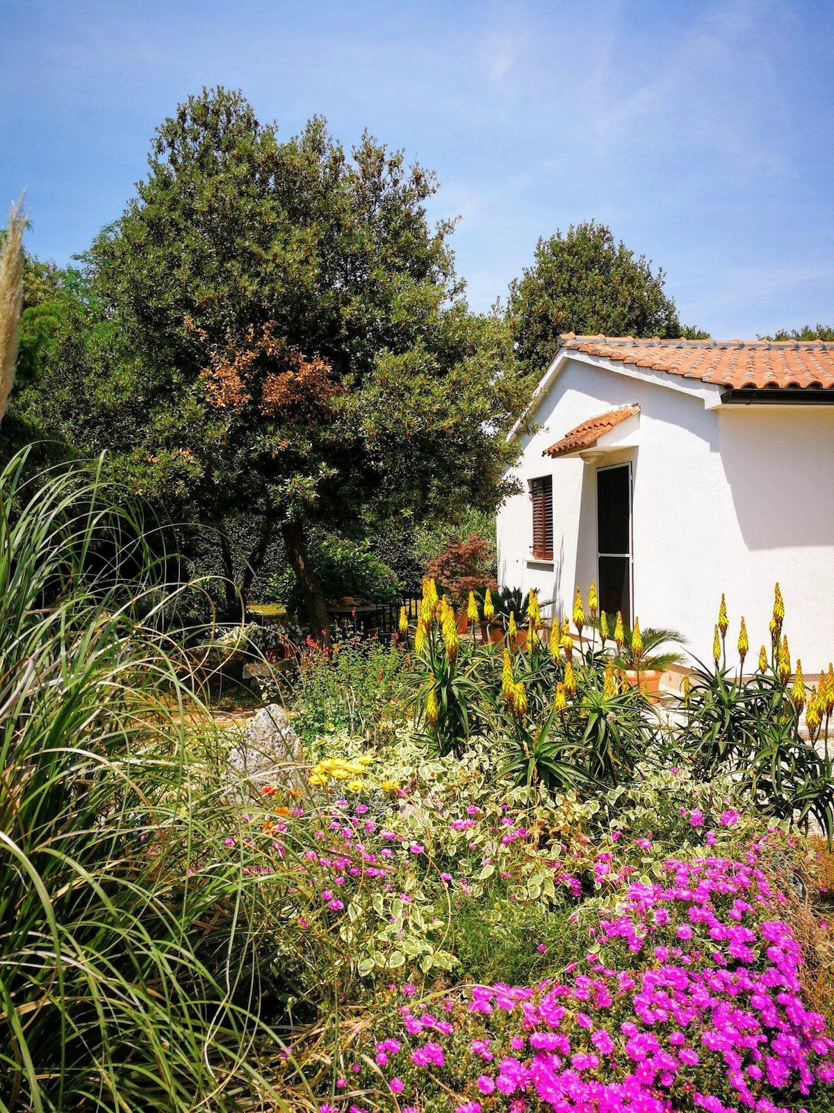 LITTLE HOUSE SURROUNDED BY NATURE