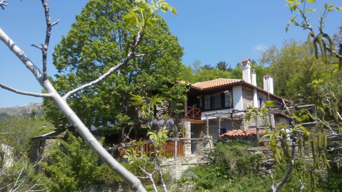 HOUSE RODIA,MEGALO KAZAVITI,THASSOS