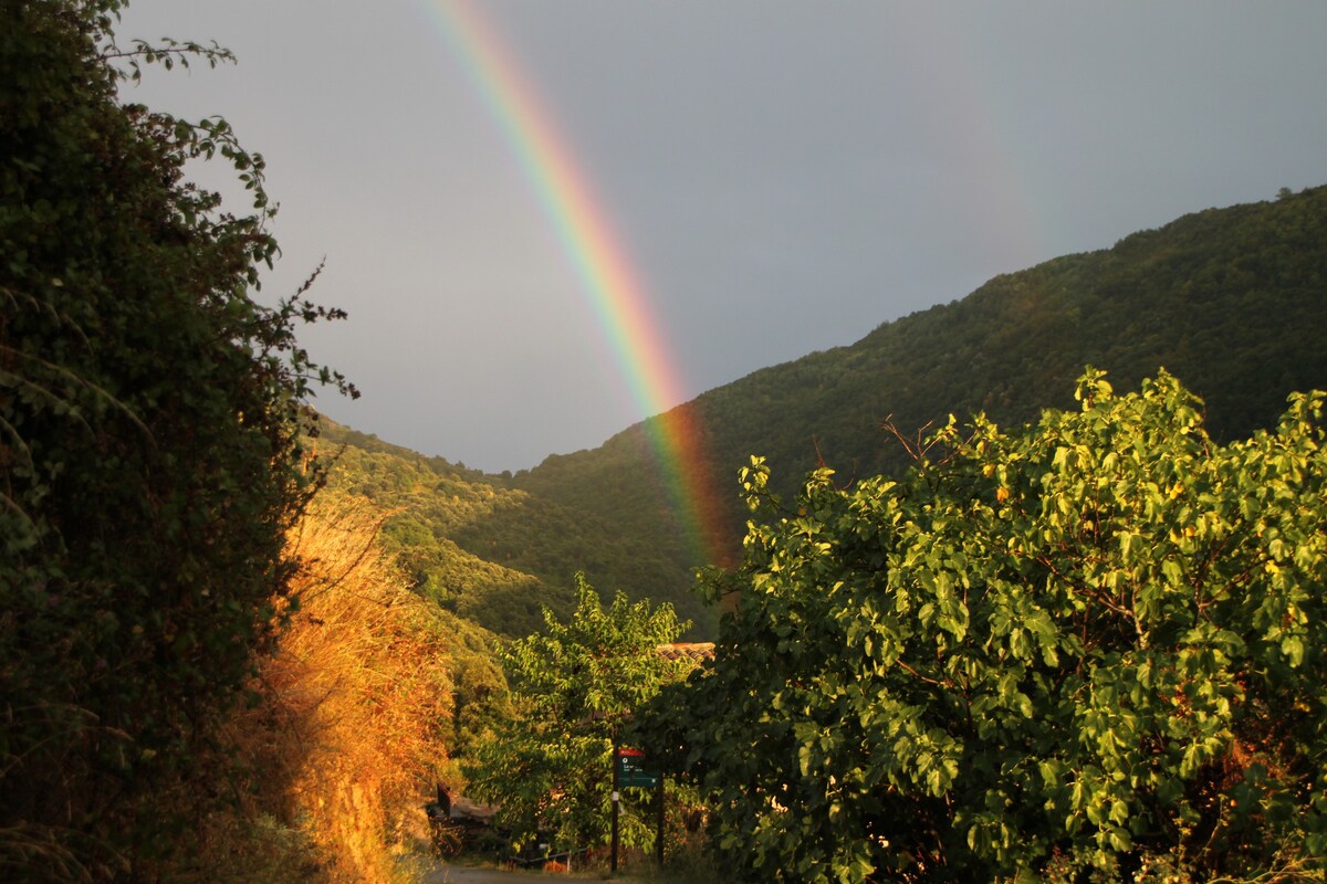 拉莫雷拉（ La Morera ） ：蒙塞尼（ Montseny ） 100%自然和可持续！