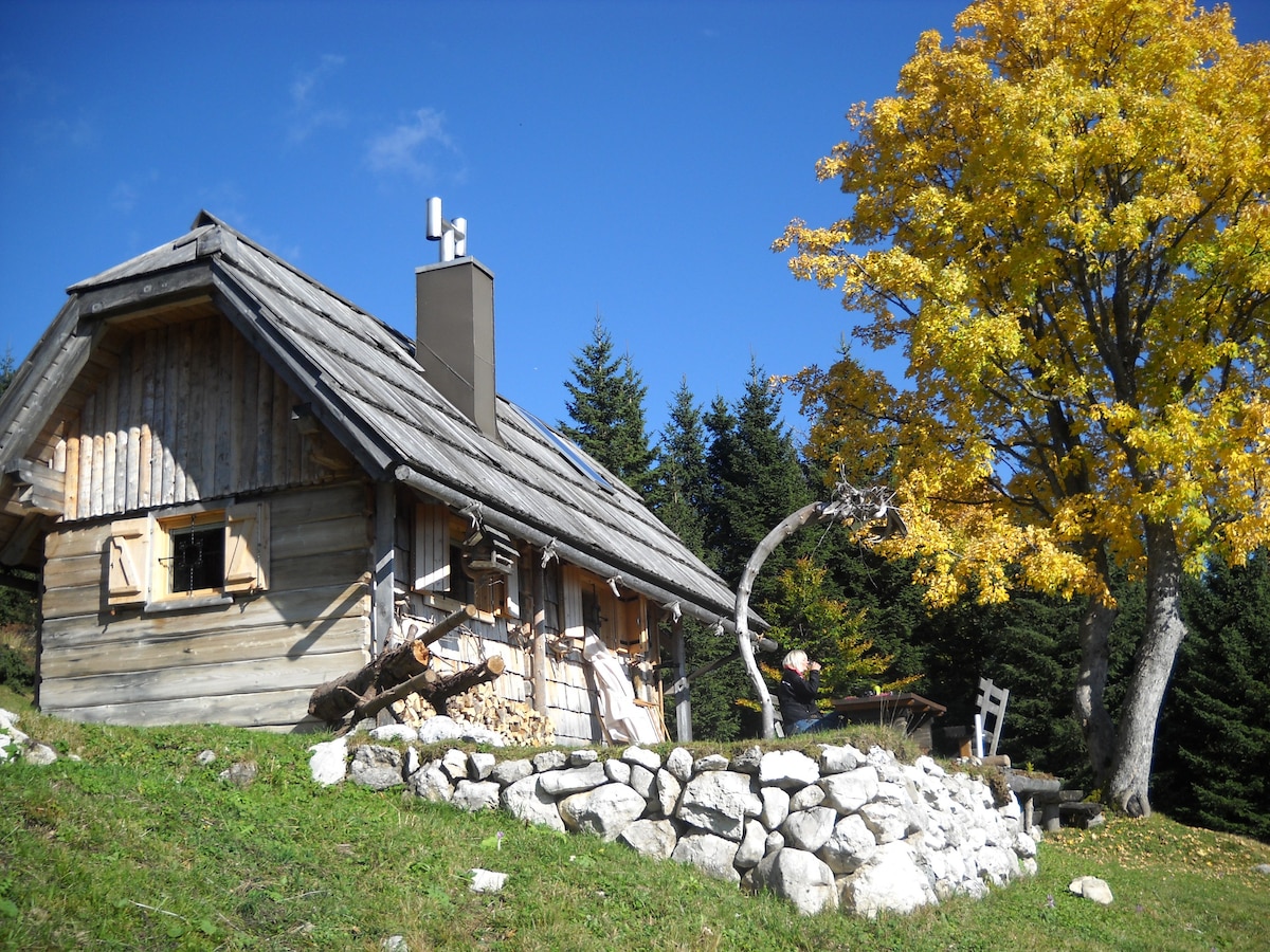 Mountain Cabin
Off-grid
National Park 
Bohinj