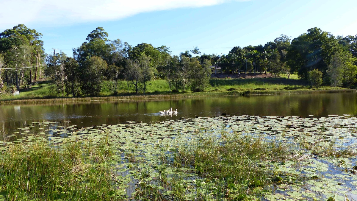 The Lake Guesthouse