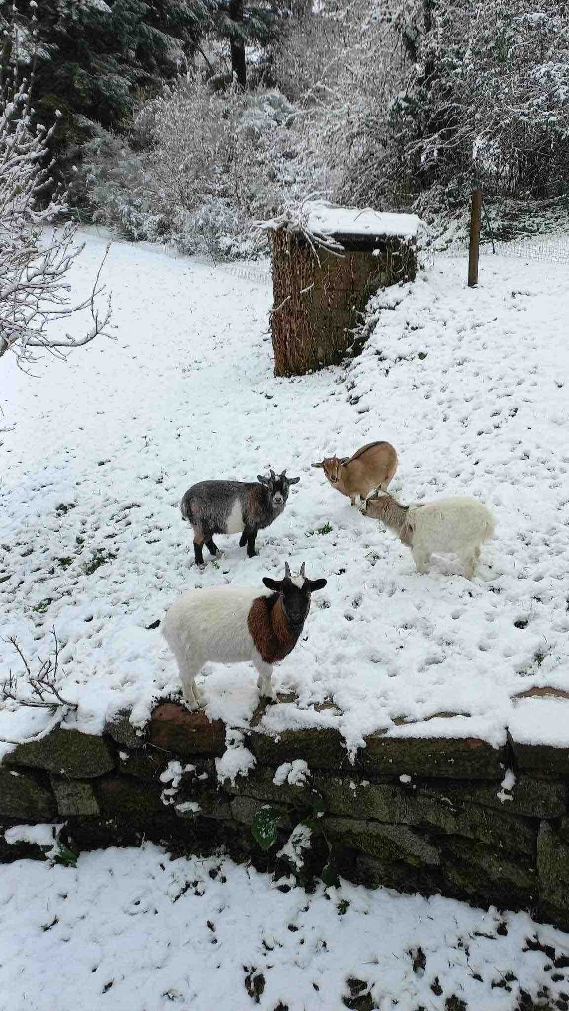 Gîte en pleine nature - La Cafranne