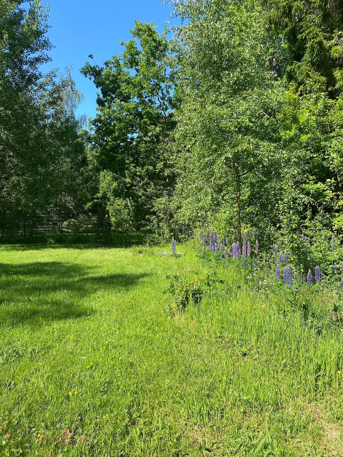 Gulligt Torp utanför Grästorp.