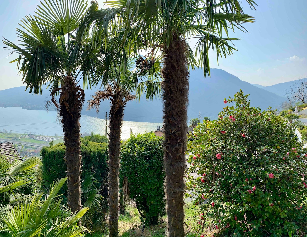 卢加诺湖（ Lugano Lake ）的壮丽景色-两居室复式公寓