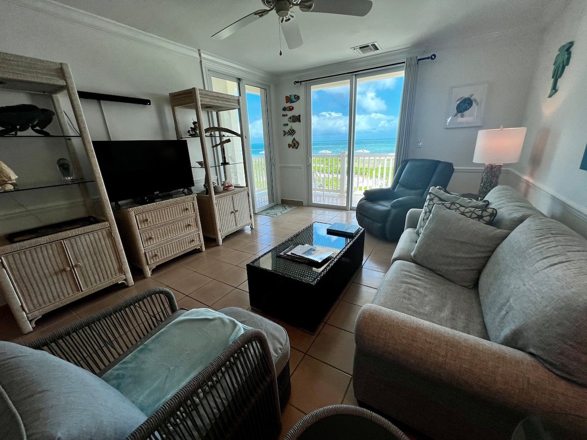 海滨双卧室公寓，可欣赏壮丽的景色