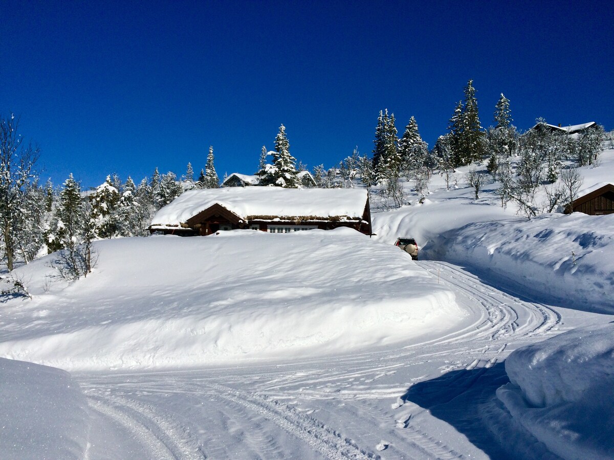 Traditional Norwegian cabin-Valdres
