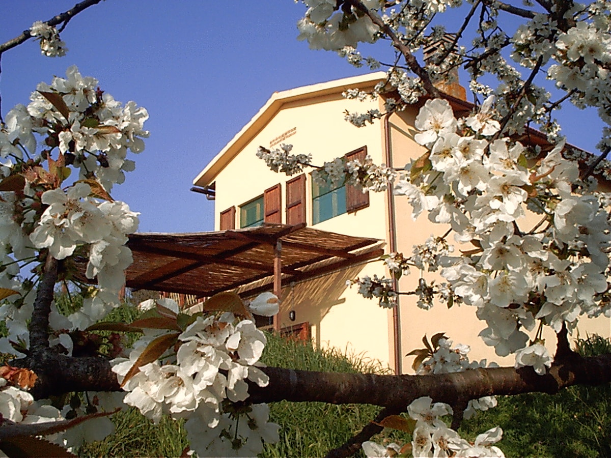 Podere Mazzana: campagna nel cuore della Toscana