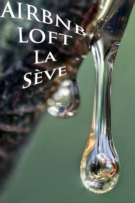 宽敞的多功能Loft La Sève
