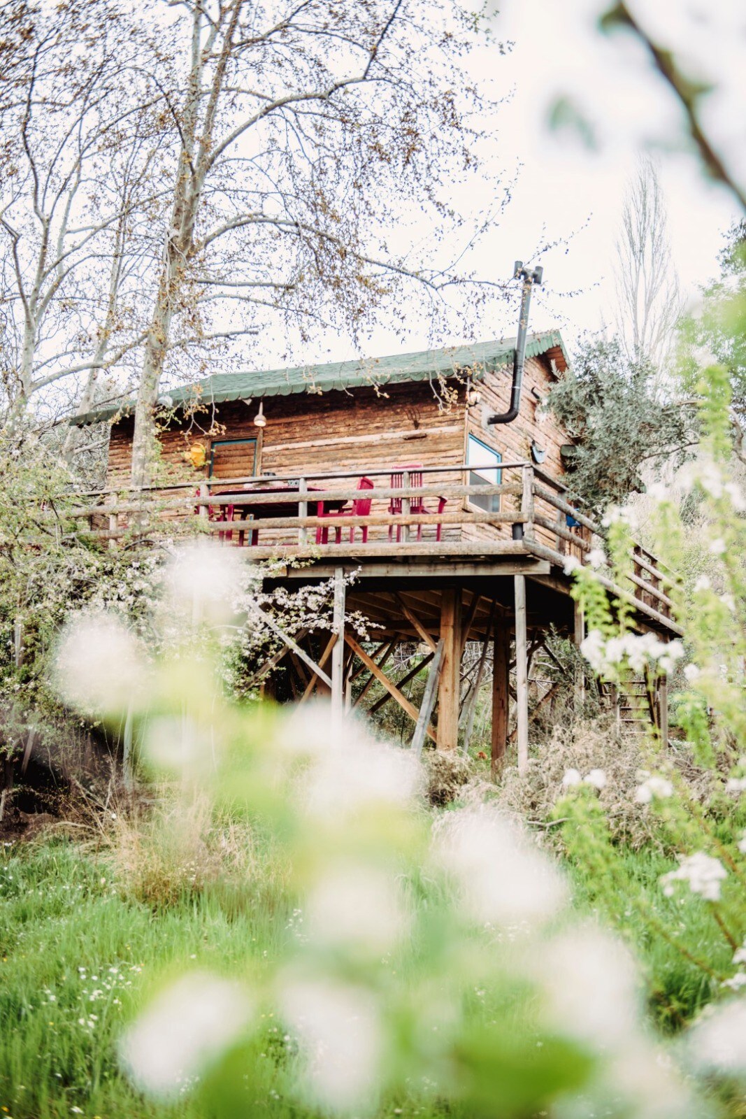 Treehouse Izmir Kemalpaşa