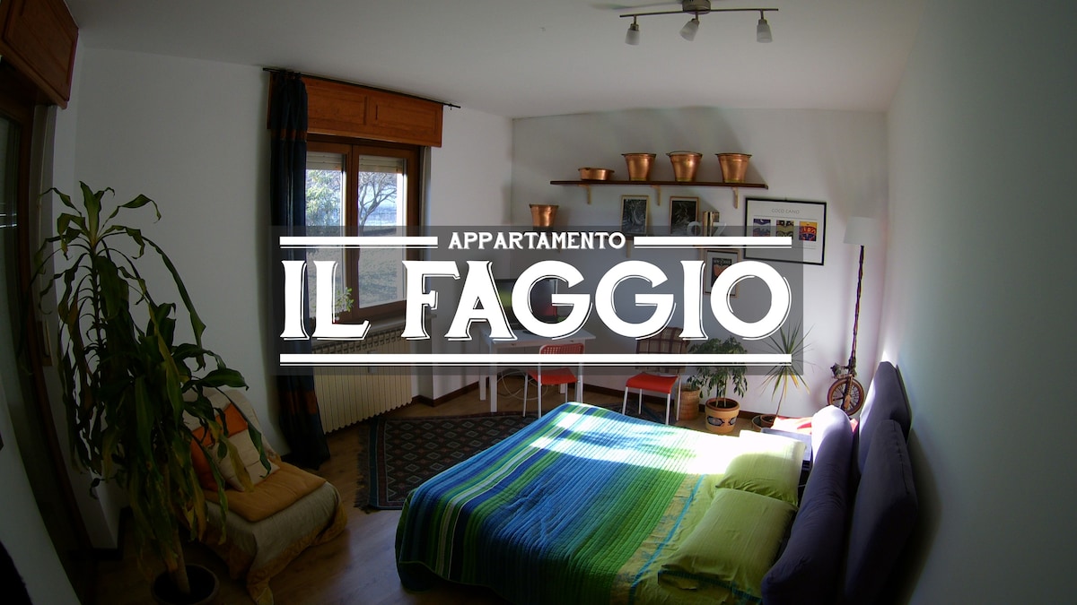 Il Faggio - Villar Focchiardo