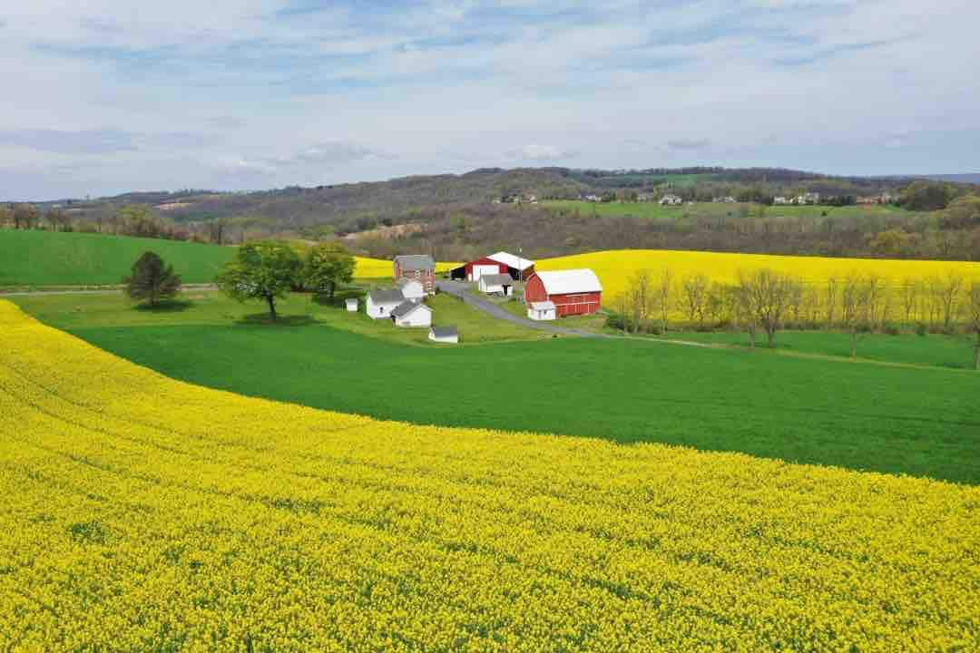 The Great Escape - Country Farm House