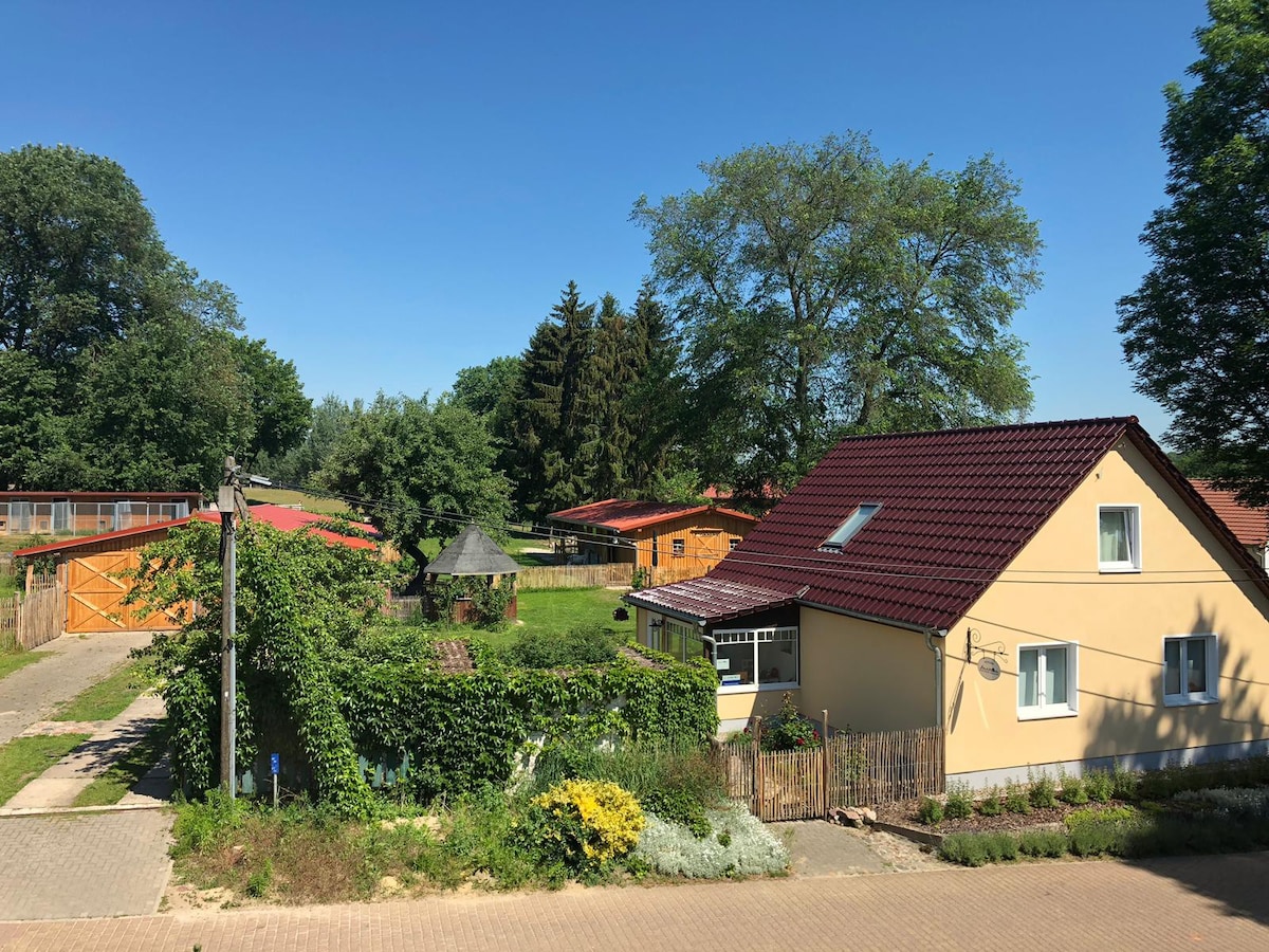 Försterhof Görlsdorf Ferienwohnung