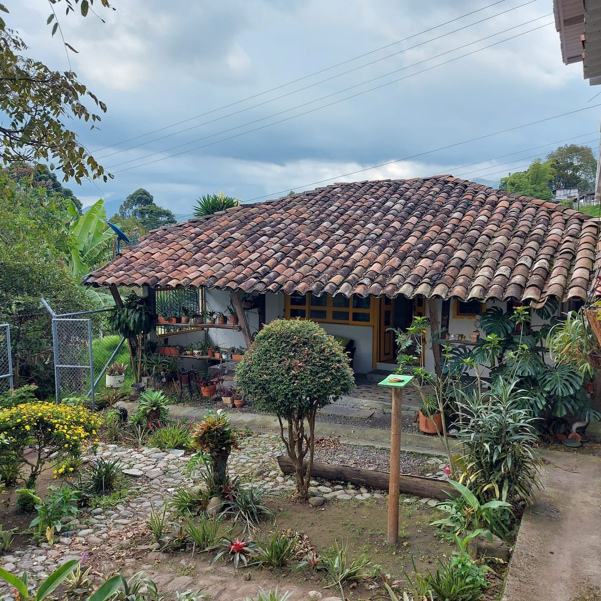 Salento Quindio五彩缤纷舒适的房子，其特点是其色彩和土地的宁静。