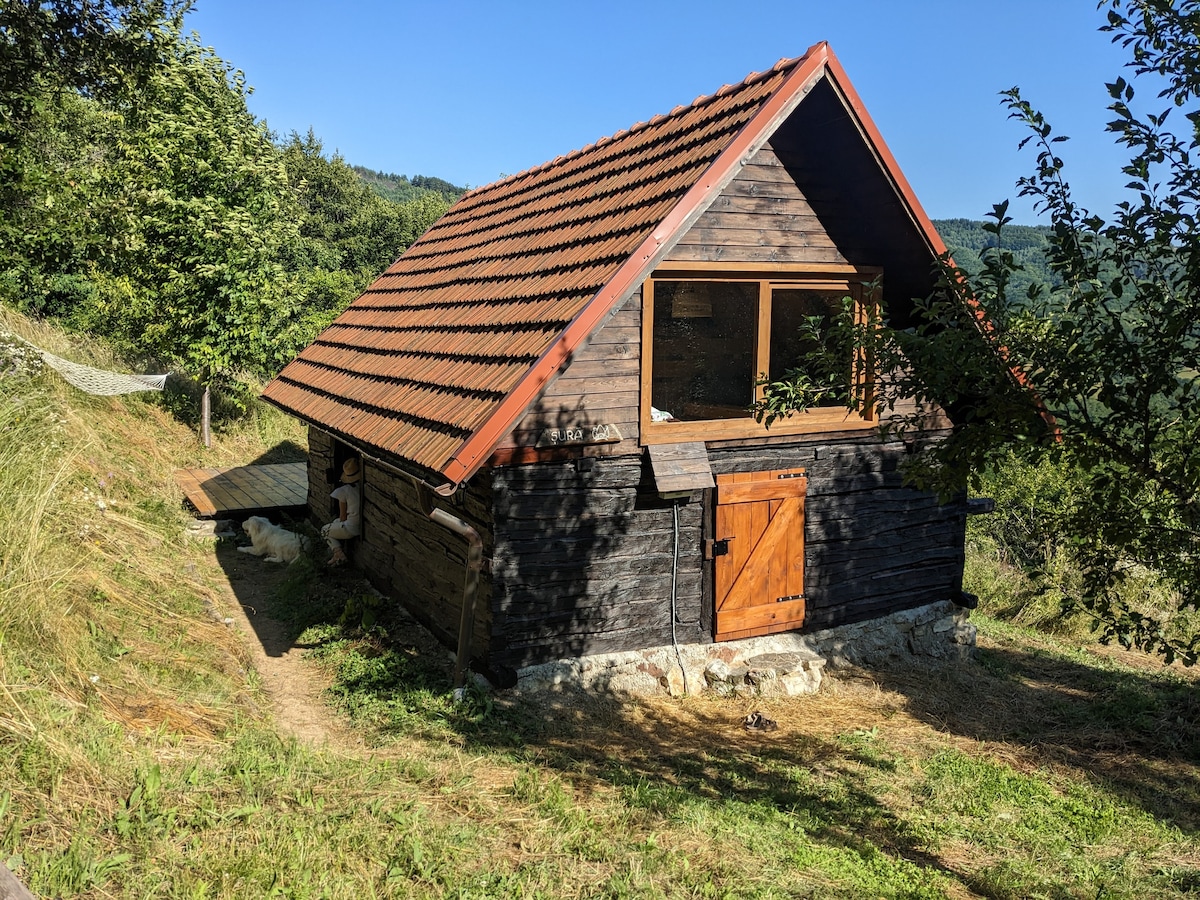 Cozy renovated barn, nature retreat